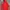 Helly Hansen Gorpcore photo 2