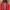 Helly Hansen Gorpcore photo 3