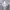 Unknown Women Pleats Tops Issey Miyake Style photo 2