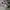 NIKE NIKE JOURNEY RUN FN0228-103 WHITE BLACK FIRE  photo 1