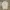 Polo Burberry Equestrian Knight White photo 1