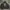 AKADEMIKS HOODIE HIP HOP 90s photo 1