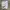 Nike Big Swoosh White Shorts photo 3