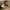 Jorts Carpenter Double knee Edwin one o one photo 5