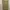 Jorts Carpenter Double knee Edwin one o one photo 3
