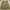 Jorts Carpenter Double knee Edwin one o one photo 1