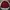 Streetwear Casual Windbreaker Pria red photo 1