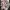 Adidas Streetwear Sportswear Jersey Pria white black photo 2