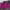 Patagonia Vintage Sportswear Bomber jacket Pria pink photo 2