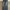 Burberry black label loose jeans photo 1