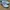 Adidas Copa Pure.3