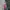 Nike Streetwear Sportswear Jersey Pria red blue photo 4