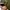 Vintage US ARMY 1996 Woodland Winter Helmet Liner Hat Camouf photo 4