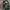 Cargo army pants cammo photo 3