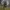 Cargo army pants cammo photo 1
