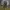 Cargo Army Pants Cammo