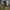 Cargo army pants cammo photo 2