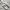 Lauren Ralph Lauren White Jacket photo 9