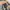 Vintage alpha industries Cwu-45 sun faded bomber flight jack photo 6