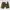 Dickies Vintage Camo Shorts
