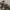Dickies Vintage Camo Shorts photo 4