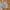 Short pants cargo vans army military  photo 1