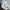 PAIR KOREA NYLON CARPENTER CARGO JOGGER LONG PANTS | CELANA  photo 7