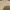 T shirt Ami  photo 2