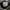Adidas Sportswear Pria black gray photo 4