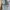 Nike Kaos Kutung Olahraga Baby Blue photo 3