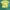 Fluke skateboard yellow photo 5