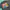 THE simpsons marge krumping dancing meme black photo 2