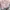 Coquette Minimalist Cardigan Wanita pink photo 6