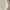 Coquette Casual Babydoll dress Wanita tan photo 2