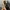 CONVERSE ONE STAR PRO photo 3