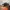 CONVERSE ONE STAR PRO photo 1