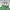 Paisley Floral Gradiation Green Halter Cami Top (S) photo 6
