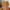 VANS SK8 COLOR BLOCK photo 8