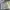 SN 1364 - levis 502 blue washed photo 1