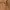 SN 1434 - Unknown double knee carpenter photo 6