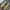 SN 1439 - converse 70s low sunflower photo 4