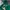 nike hoodie green rare color photo 1
