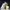 New Balance Sportswear Casual Sneakers Pria multicolor photo 4