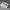 New Balance Sportswear Casual Sneakers Pria multicolor photo 2