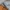 INSTAN DENIM BLUE JEANS  photo 4