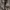 [CROUX] Brown Leopard print full-zip jacket/Bratz doll Y2K/R photo 4