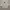 Minimalist Crop top Wanita white photo 1