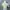 Vintage Christian Dior Women Tops photo 6
