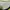 Tottenham Hotspur Jersey photo 3