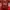 AC Milan Jersey photo 1